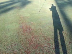 golfchat_authors_pete_flanigan_bare_greens