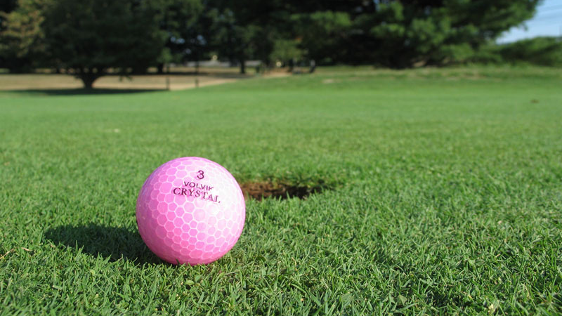golfchat_authors_anne_foley_smith_pink_bits_and_pieces